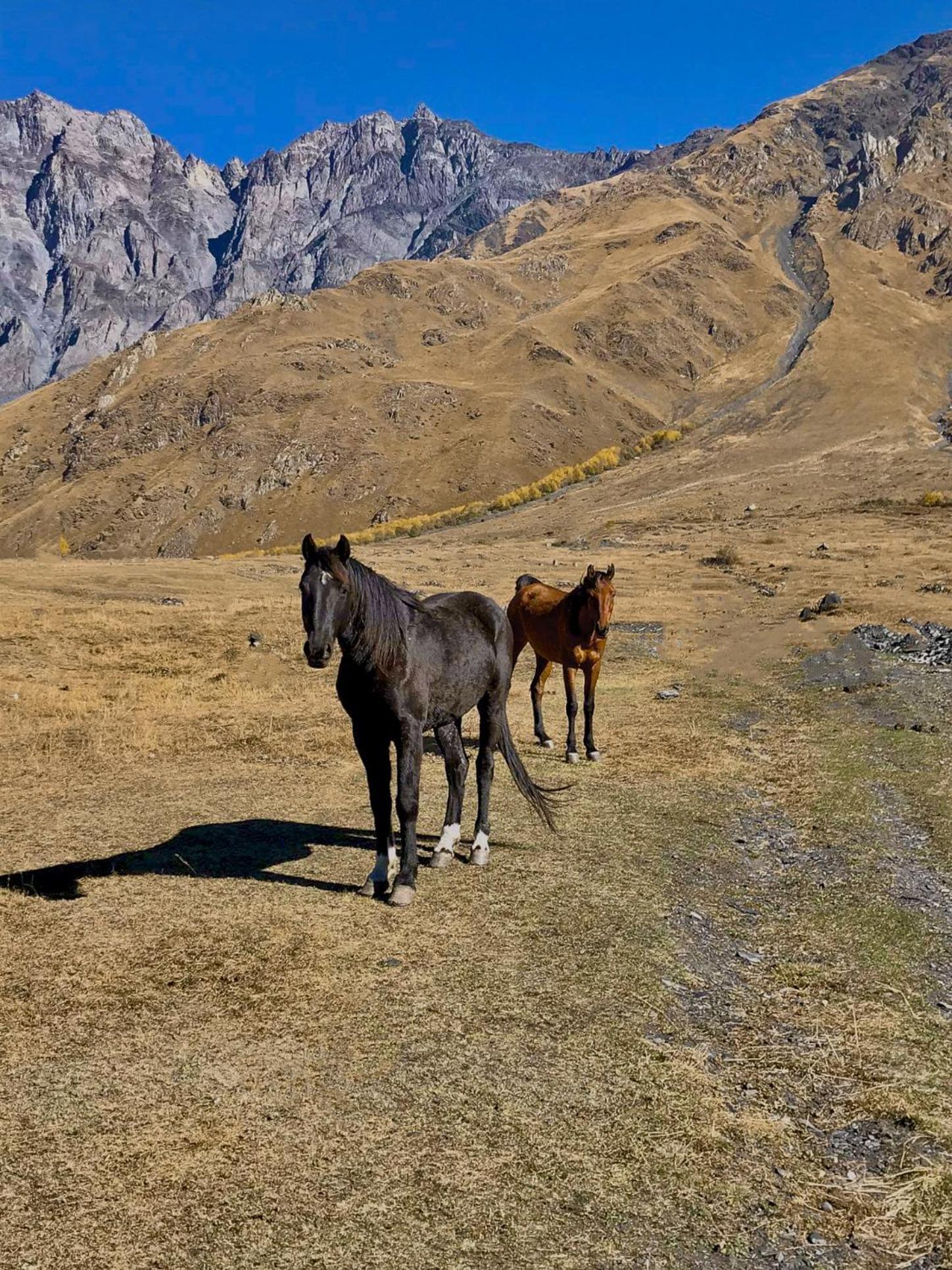Kazbegi Inn Cottages Esterno foto